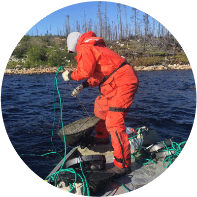 Waska expertise environnement